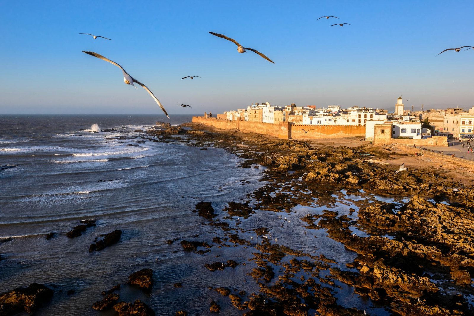 Bird Watchers Morocco